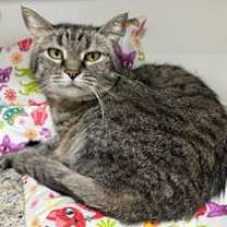 Thumbnail photo of Inez #1