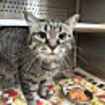 Thumbnail photo of Inez #2