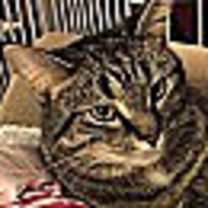 Thumbnail photo of Inez #3