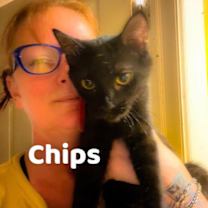 Thumbnail photo of Chips #3