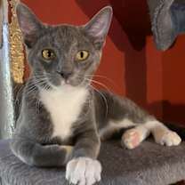 Thumbnail photo of Churro #1