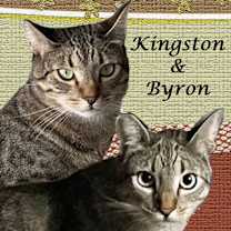 Thumbnail photo of KINGSTON & BYRON #1