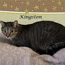 Thumbnail photo of KINGSTON & BYRON #2