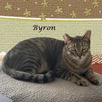 Thumbnail photo of KINGSTON & BYRON #3