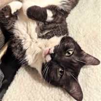 Thumbnail photo of Mrs. Fletcher #1