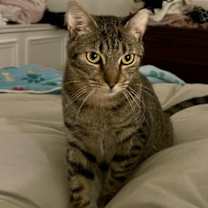 Thumbnail photo of Marty #1