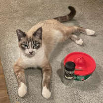 Thumbnail photo of Kasey #1