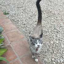 Thumbnail photo of Kasey #2