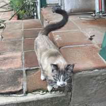 Thumbnail photo of Kasey #3