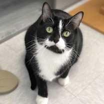 Thumbnail photo of Buzz #2