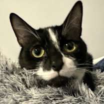 Thumbnail photo of Buzz #4