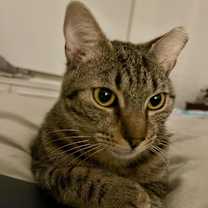 Thumbnail photo of Marty #2