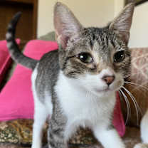 Thumbnail photo of Minnie #2