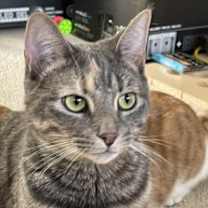 Thumbnail photo of Colby & Chloe #2