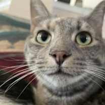 Thumbnail photo of Colby & Chloe #3