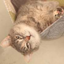 Thumbnail photo of Polly #3 #1