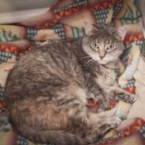 Thumbnail photo of Polly #3 #2