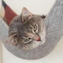 Thumbnail photo of Polly #3 #3