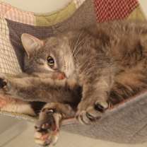 Thumbnail photo of Polly #3 #4