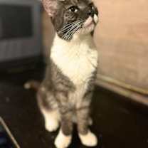 Thumbnail photo of Mrs. Fletcher #3
