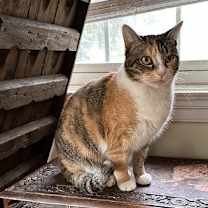 Thumbnail photo of Mable #2