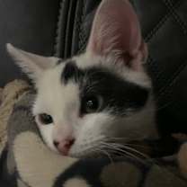 Thumbnail photo of Matteo #1