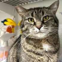 Thumbnail photo of Inez #4