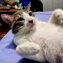 Thumbnail photo of Lourde #2
