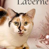 Thumbnail photo of Laverne #1