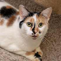 Thumbnail photo of Laverne #3