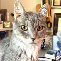 Thumbnail photo of KITTY BIGSBY #1