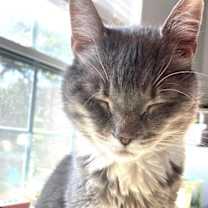 Thumbnail photo of KITTY BIGSBY #2