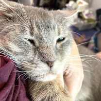 Thumbnail photo of KITTY BIGSBY #3