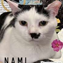 Thumbnail photo of NAMI #1