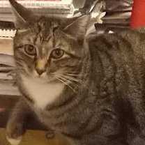 Thumbnail photo of Perry #2