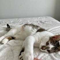 Thumbnail photo of Athena  cp  call 832 630 4177 #3