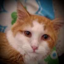 Thumbnail photo of Jason #1