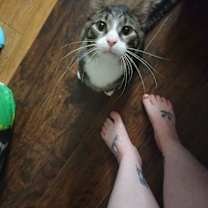 Thumbnail photo of Asher and Blaze #2