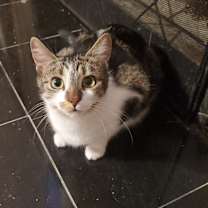Thumbnail photo of Mindy #1