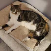 Thumbnail photo of Mindy #2