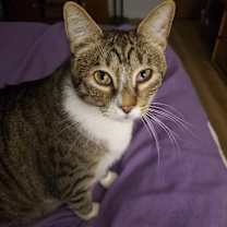 Thumbnail photo of Prince #1