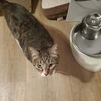 Thumbnail photo of Prince #2