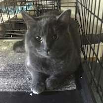 Thumbnail photo of Teri #1