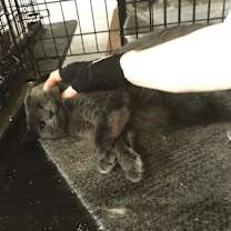 Thumbnail photo of Teri #2
