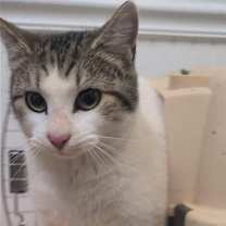 Thumbnail photo of Lovey #1