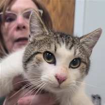 Thumbnail photo of Lovey #2