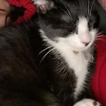Thumbnail photo of Alice #3