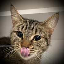 Thumbnail photo of Lucie #1