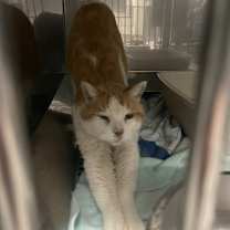 Thumbnail photo of Murphy #1