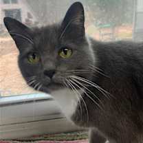 Thumbnail photo of Naomi #2